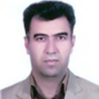 Hejazi، Sayed Naser