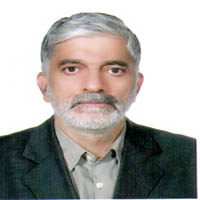 دکتر سید محمدتقی فاطمی قمی