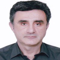 دکتر سید مسعود حسینی