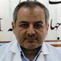 دکتر حسین حسین زاده